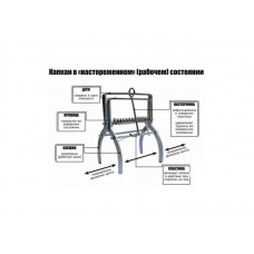 Как избавиться от крота: 7 гуманных способов